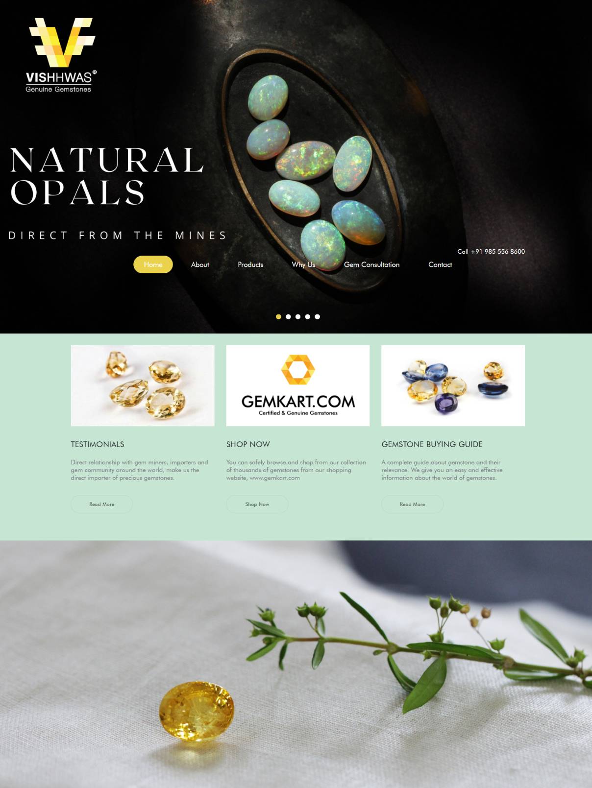 sochtek-smo-vishhwas